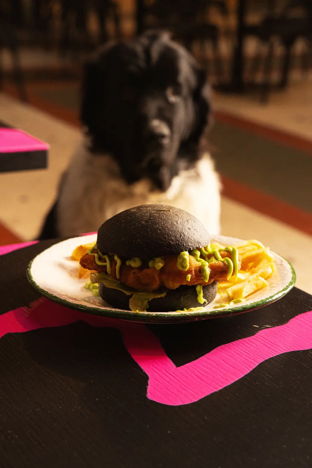 Un grosso cane bianco e nero guarda un burger nel piatto